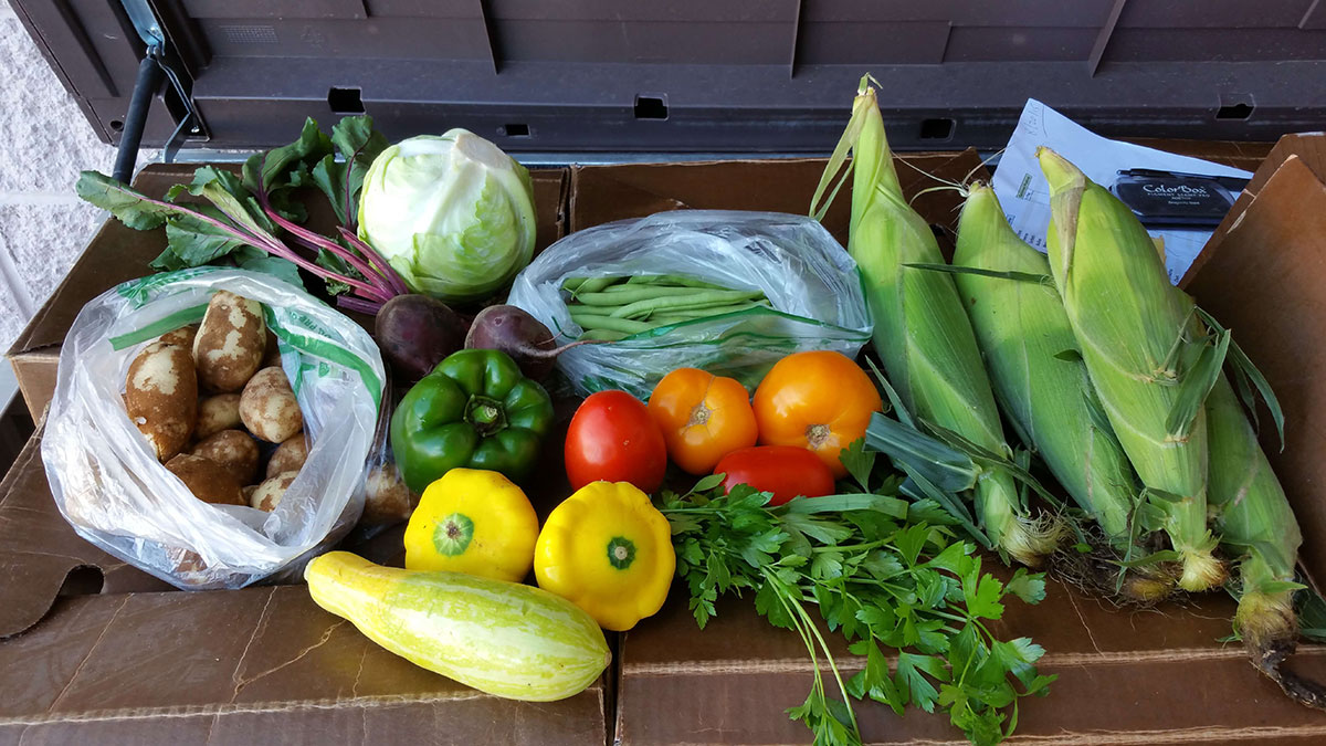 Vegetables on a table and in bags from the Equality farm.